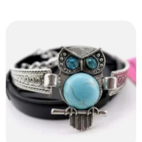 Silver and Turquoise Owl Bracelet New Betsey Johnson - Picture 2 of 2